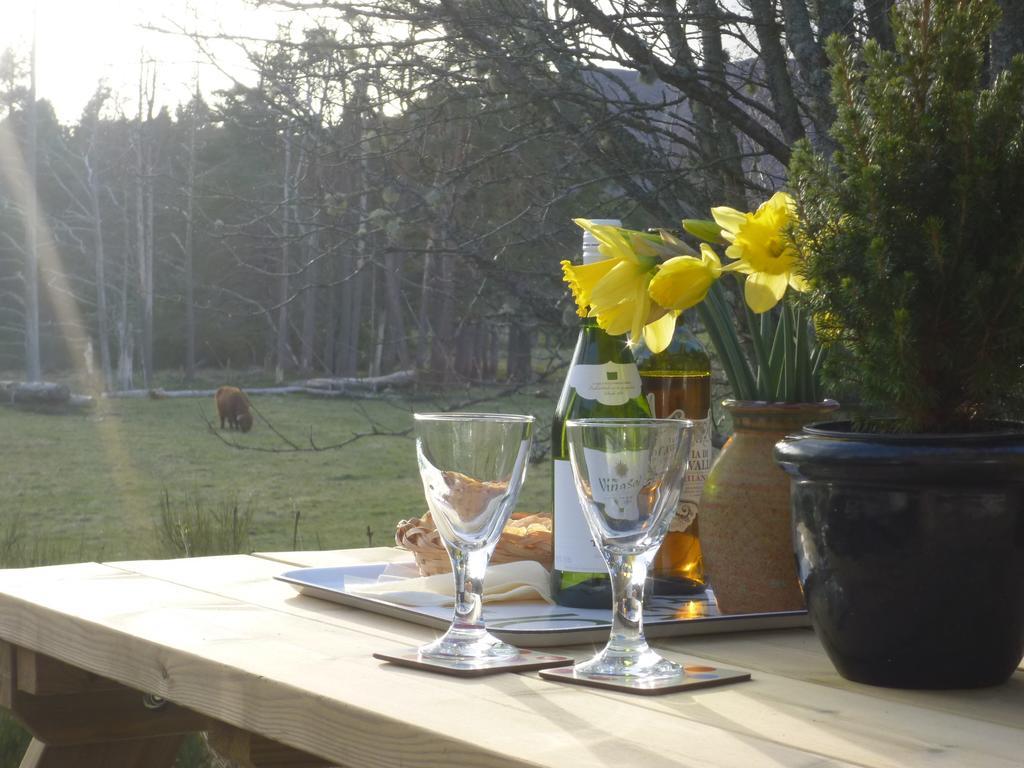 Camusmore House Aviemore Ngoại thất bức ảnh
